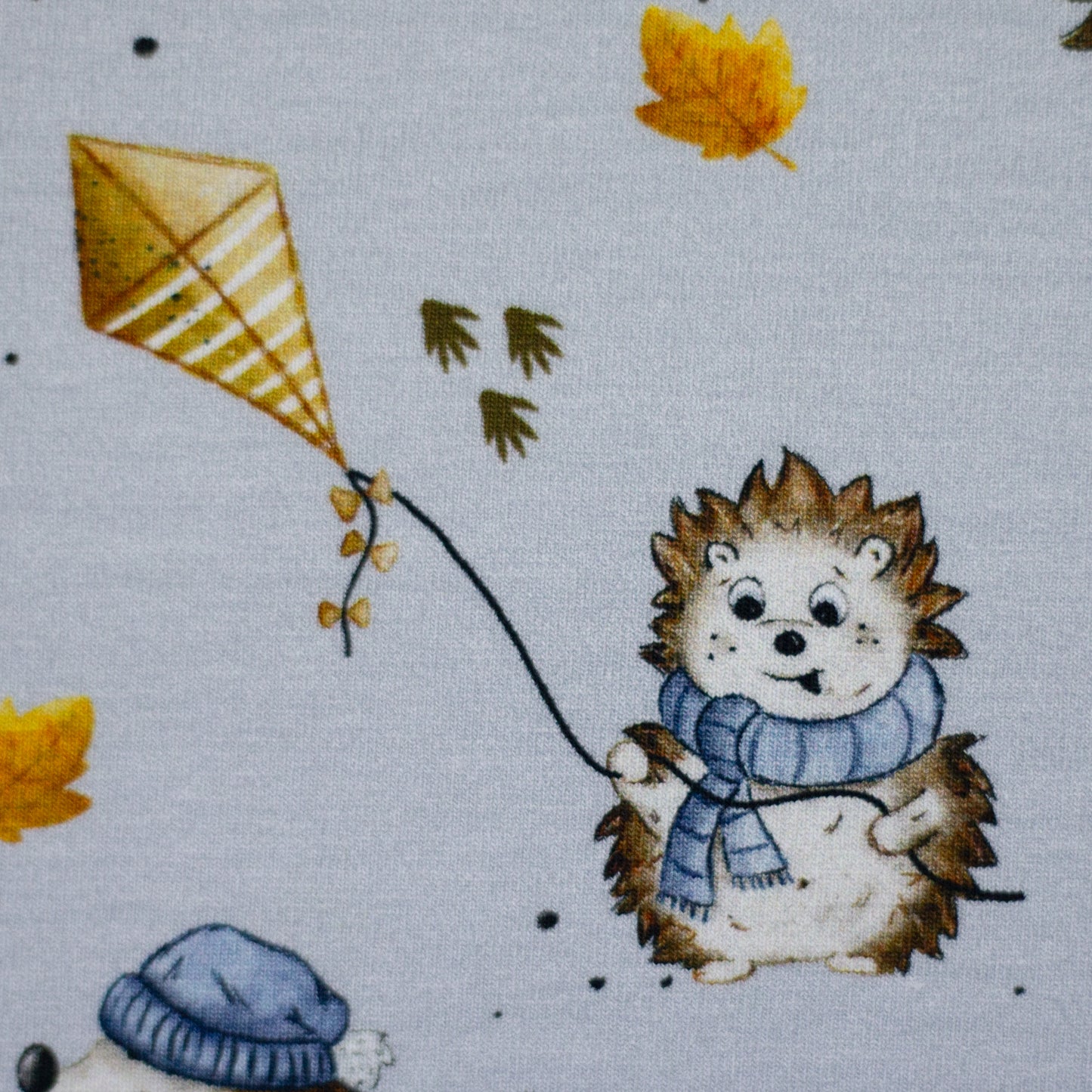 Jersey Igel, Drachen