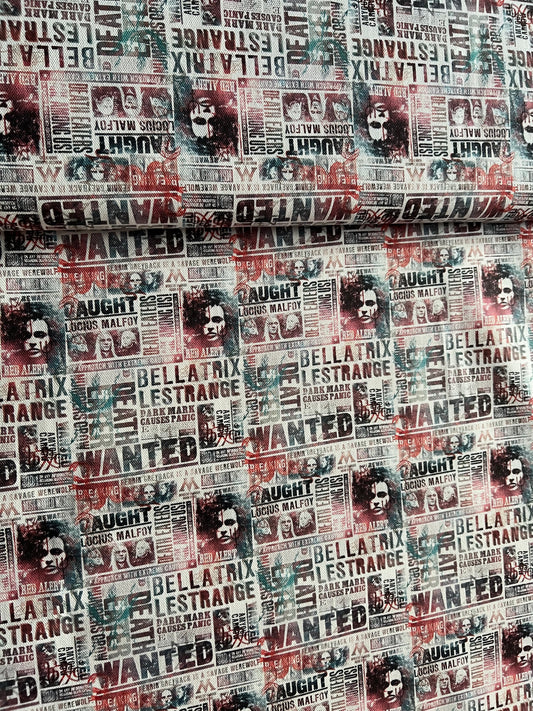 Dekostoffe "Wanted Harry Potter"