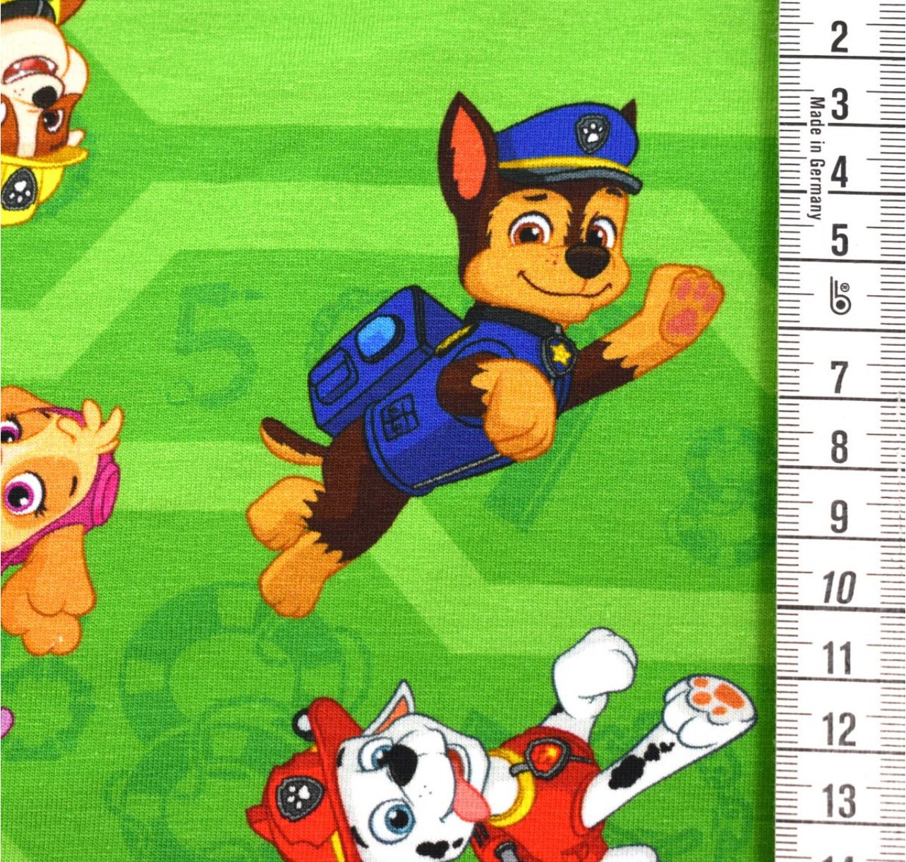 PAW Patrol (Grün und Blau)