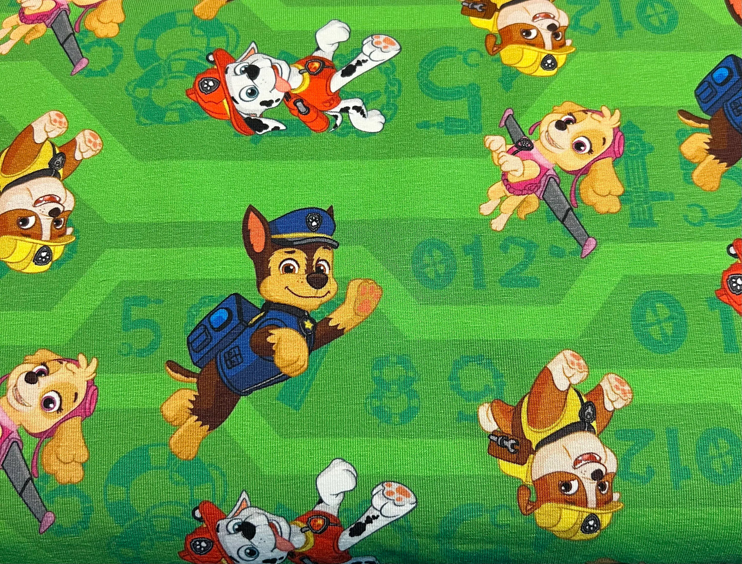 PAW Patrol (Grün und Blau)